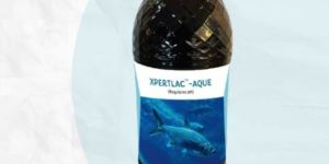 XPERTLAC AQUE PROBIOTIC