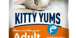 Kitty Yums Pet Dry Food 50g (Pack of 10)