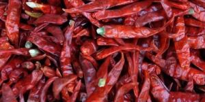 Dry Red Chili