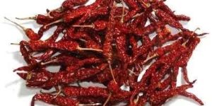 Byadgi Dried Red Chilli