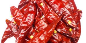 Guntur Dried Red Chilli