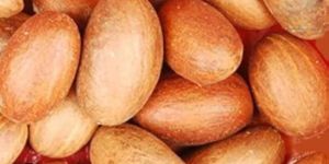 Garcinia Bitter Kola