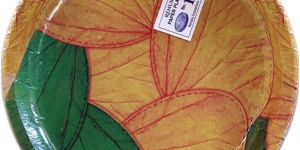 No.13 Multi Color Disposable Paper Plate