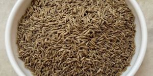 Cumin Seed
