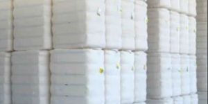 White Raw Cotton Bale