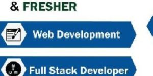 Customized Software Services