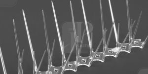 Birds Spikes