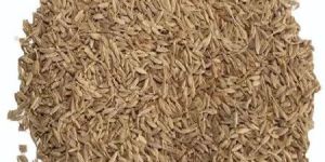 Cumin Seeds