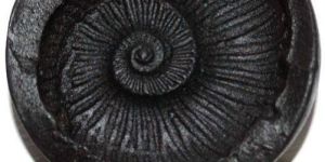 Sacred Adwaita Laxmi Surya Sudarshan Shaligram