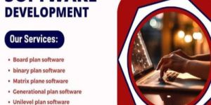 Online Software Development
