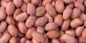 Groundnut Seeds