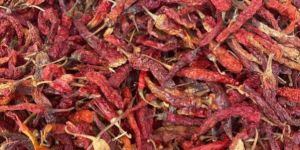 Medium Dry Red Chilli