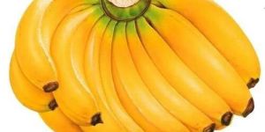 Fresh Organic Banana