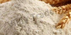 Wheat Flour