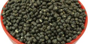 Whole Urad Dal