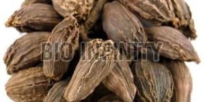 Black Cardamom