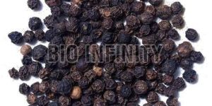 Black Pepper Seeds
