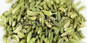 Fennel Seeds