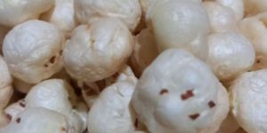 Makhana