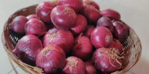 Bhima Shakti Research Onion Seeds