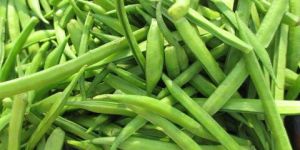 Research Cluster Bean Seeds