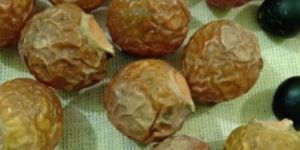 Soapnut Powder