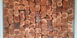 Nigeria Teakwood Roughly Squared Logs