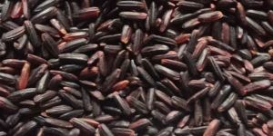Black Rice