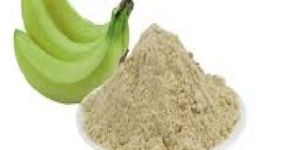 Raw Green Banana Powder