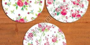 10 Inch Printed Paper Plate