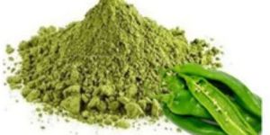 Spray Dried Green Chilli Powder