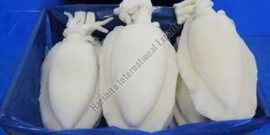 Frozen Cuttle Fish