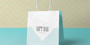 Paper Gift Bags