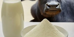 Buffalo Milk Powder