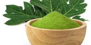 Papaya Leaves Powder