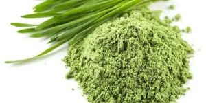 Wheatgrass Powder