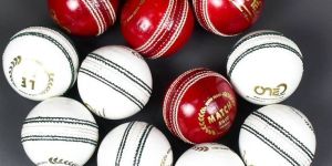 Leather Cricket Balls