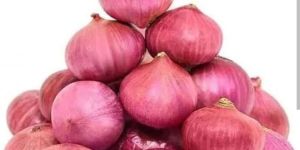 Fresh Red Onion