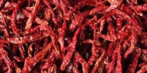 Red Chilli