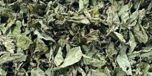 Dehydrated Mint Leaves