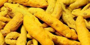 Alleppey Turmeric Finger