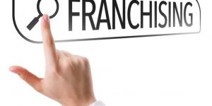 Franchise Development Service