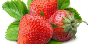 Fresh Strawberry
