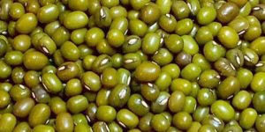 Whole Green Moong