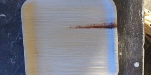 10 Inch Square Disposable Plates