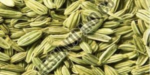 a Grade Fennel Seeds