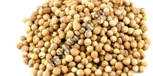 Natural Coriander Seeds
