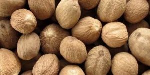 Whole Nutmeg Seeds