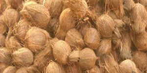 Semi Husked Brown Coconut