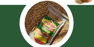 Satpudatadka Coriander Powder